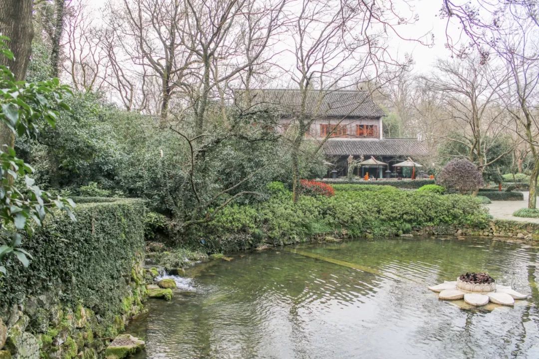 摇船前往酒店，睡在百花深处|杭州最仙儿的打开方式叫紫萱！