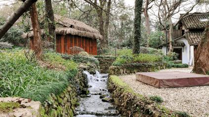 摇船前往酒店，睡在百花深处|杭州最仙儿的打开方式叫紫萱！