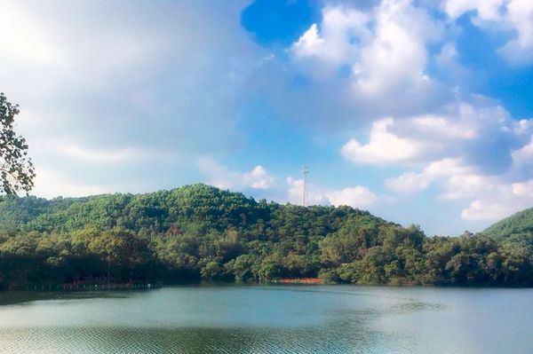 郑州周边适合野炊的地方,郑州野炊烧烤最好去处