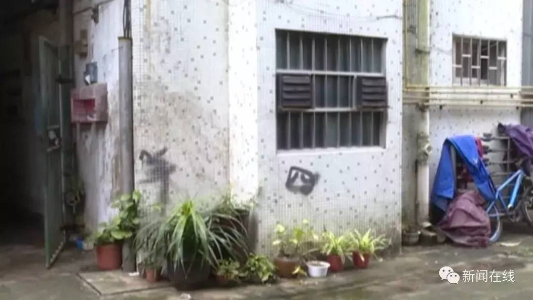 柳州一面包车撞飞两老人,柳州老人被撞负全责