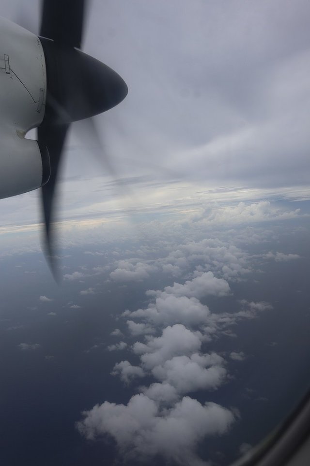 我和老王的房车旅行,马尔代夫之旅蜜月