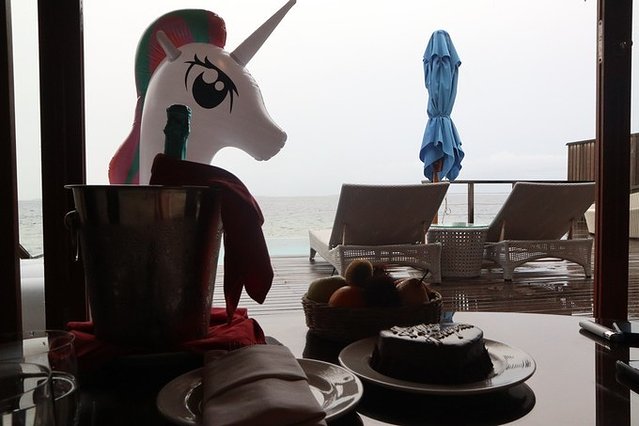 我和老王的房车旅行,马尔代夫之旅蜜月