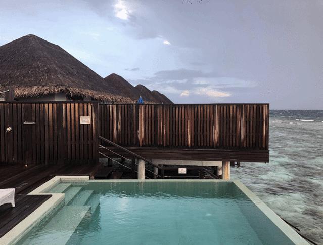 我和老王的房车旅行,马尔代夫之旅蜜月