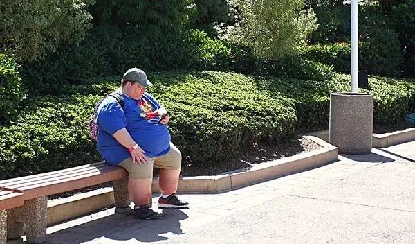 防治肥胖症的塑身食疗方,肥胖症的治疗方式总结