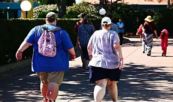 防治肥胖症的塑身食疗方,肥胖症的治疗方式总结