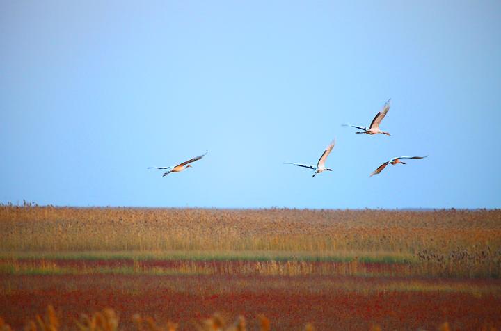 响水是哪个市的城市,响水属于什么档次的城市