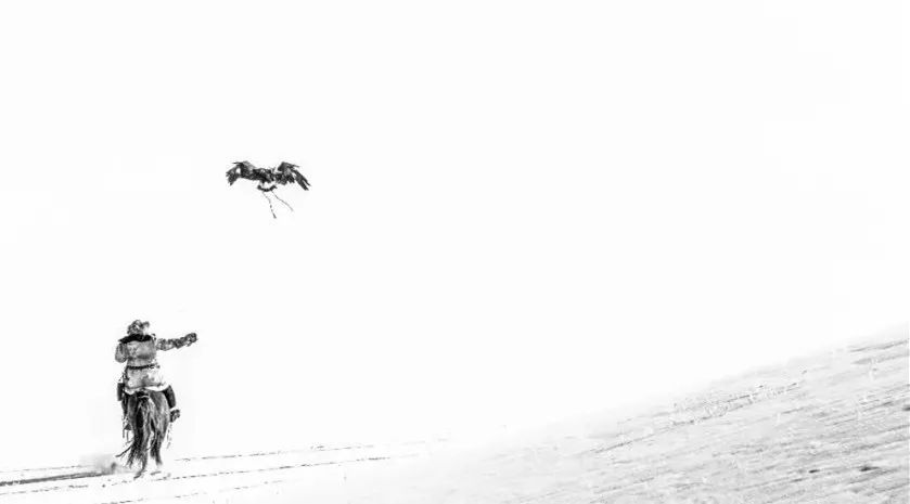 我认识了一位阿里巴巴“禁卫军”