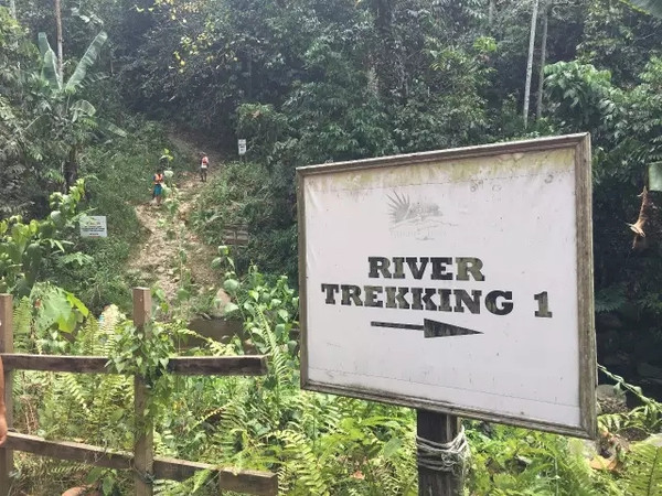 马来西亚猫山王详细攻略,尝一口香甜的马来西亚猫山王