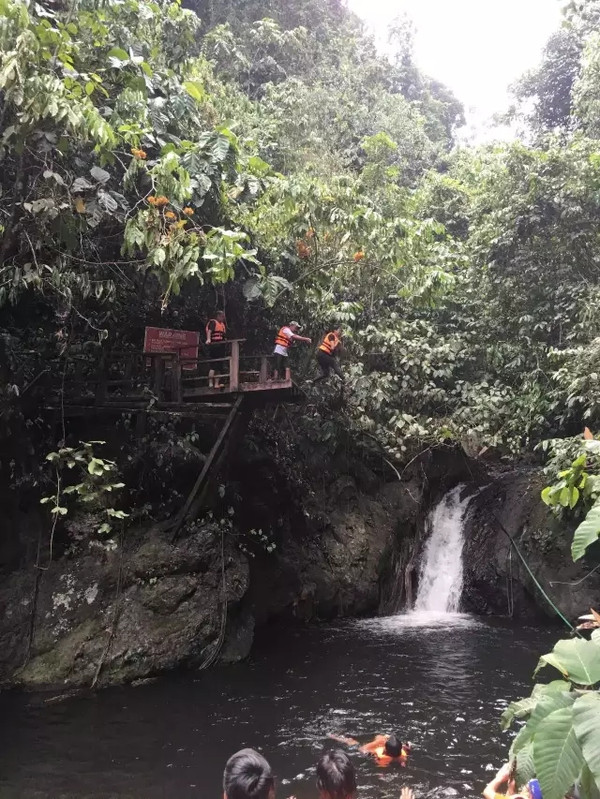 马来西亚猫山王详细攻略,尝一口香甜的马来西亚猫山王