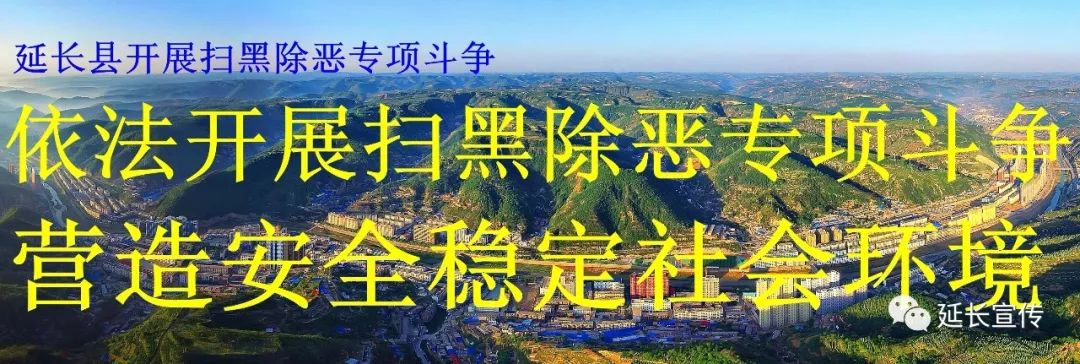 延安日报|让群众少跑腿好办事——延长县行政审批局改革实践小记