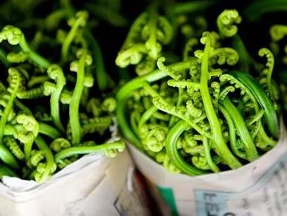 吃了街边买的“青菜”，一家三口急送医！这些菜清明常出没…