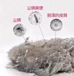 日本爱丽思除螨仪,日本紫外线除螨仪