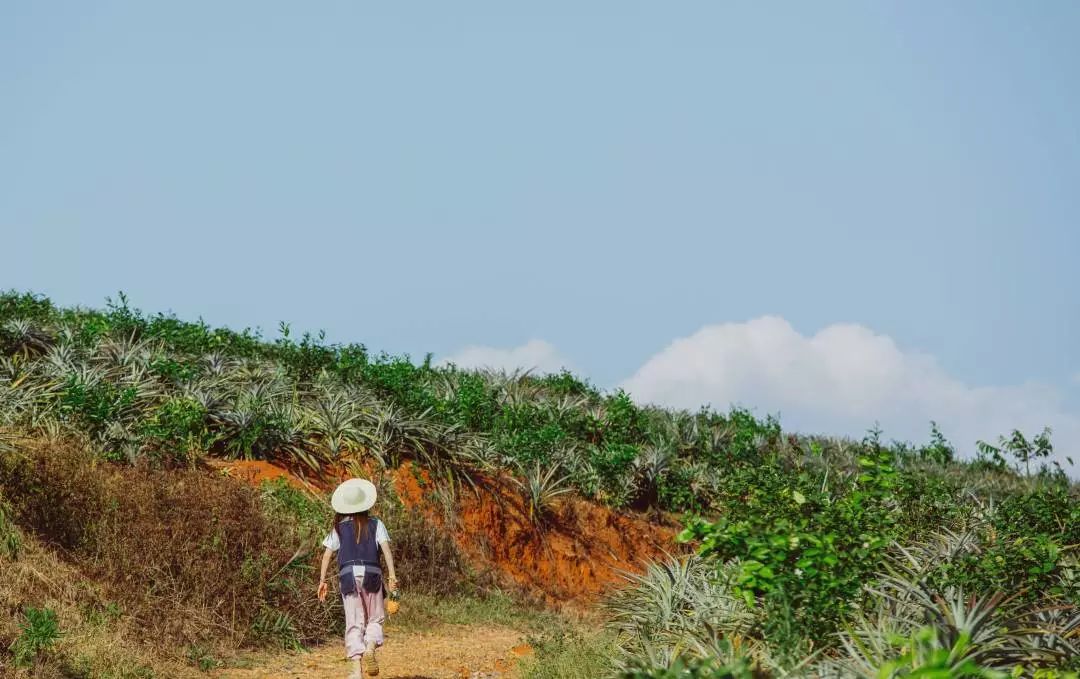 花钱减压|小锦鲤，穿花衣，年年春天来这里~就要超越小燕子了！