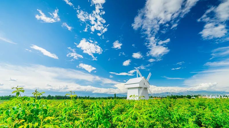 实用性村庄规划编制流程,村庄规划编制亮点做法