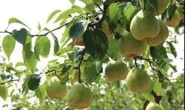 精彩亮相全国糖酒会,一年一届糖酒会圆满收官