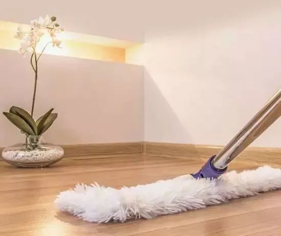 用洗衣粉消灭家中小飞虫,用洗衣粉灭蟑螂的最好方法