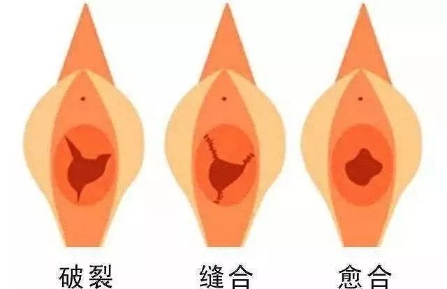 大部分人都错了,大多数人错了的真相