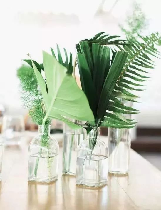 用洗衣粉消灭家中小飞虫,用洗衣粉灭蟑螂的最好方法