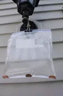 用洗衣粉消灭家中小飞虫,用洗衣粉灭蟑螂的最好方法