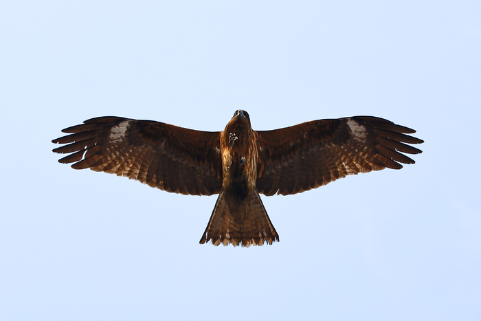 2022全画幅入门微单相机推荐,eosrp全幅相机