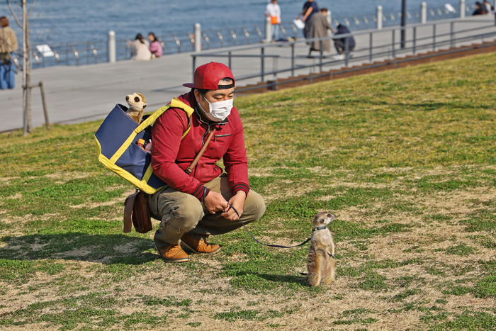 2022全画幅入门微单相机推荐,eosrp全幅相机