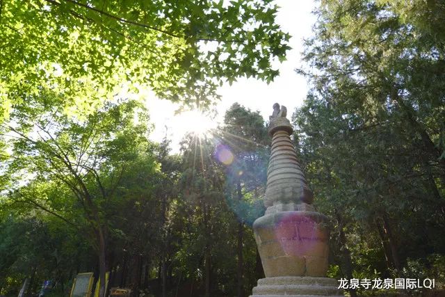 绕塔从左边绕吗,绕塔视频