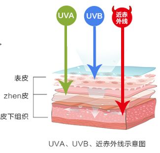 防晒1元秒杀,日本防晒爆款榜