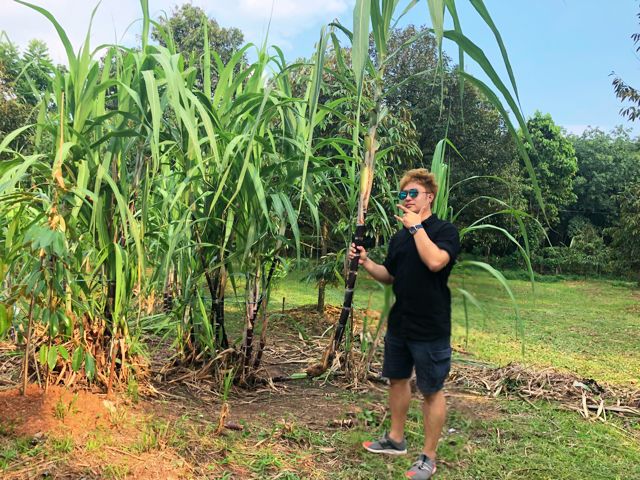 胖粑粑也有春天！这些潮爆的大码原单男装店，快给孩子爸看|二宝爸淘货