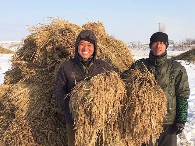 十大公认最好吃的大米,公认好吃的5种大米