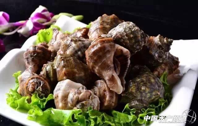 各种海鲜哪些部位不能吃,海鲜哪些人不可以吃