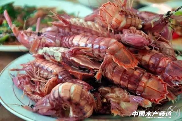 各种海鲜哪些部位不能吃,海鲜哪些人不可以吃