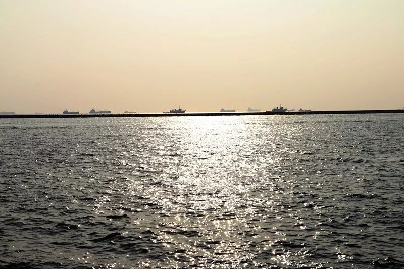 “韩流”来袭,厦门8000人要去高雄,你要去浪浪吗?