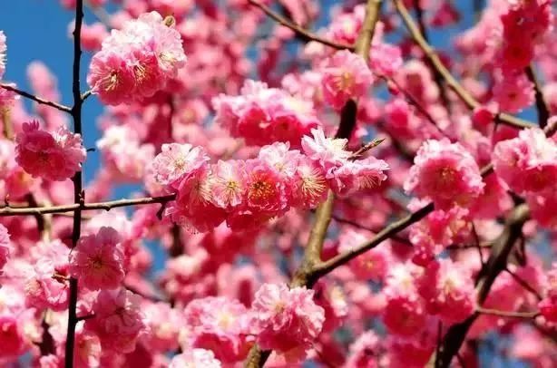 【嘿撩撩啰】壮族三月三，梧州等你撩！