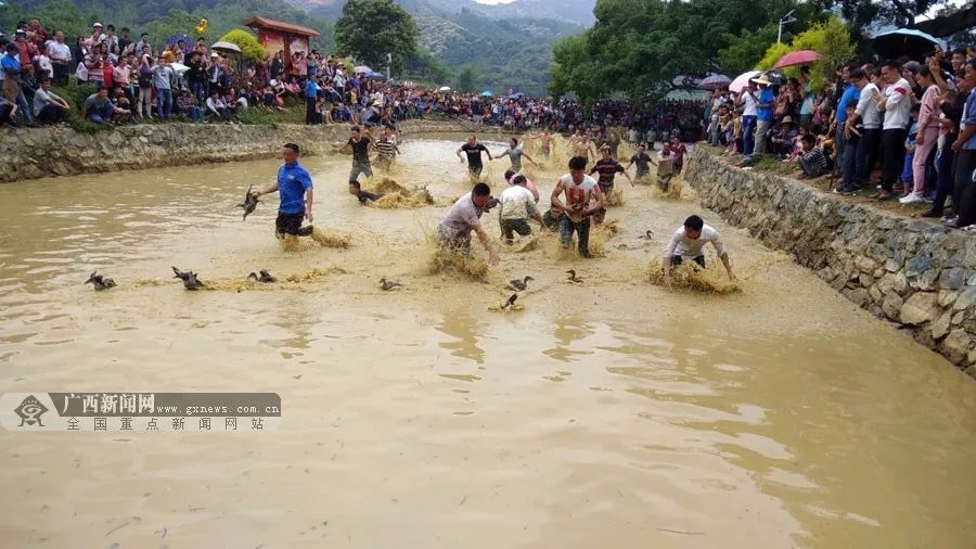 【嘿撩撩啰】壮族三月三，梧州等你撩！