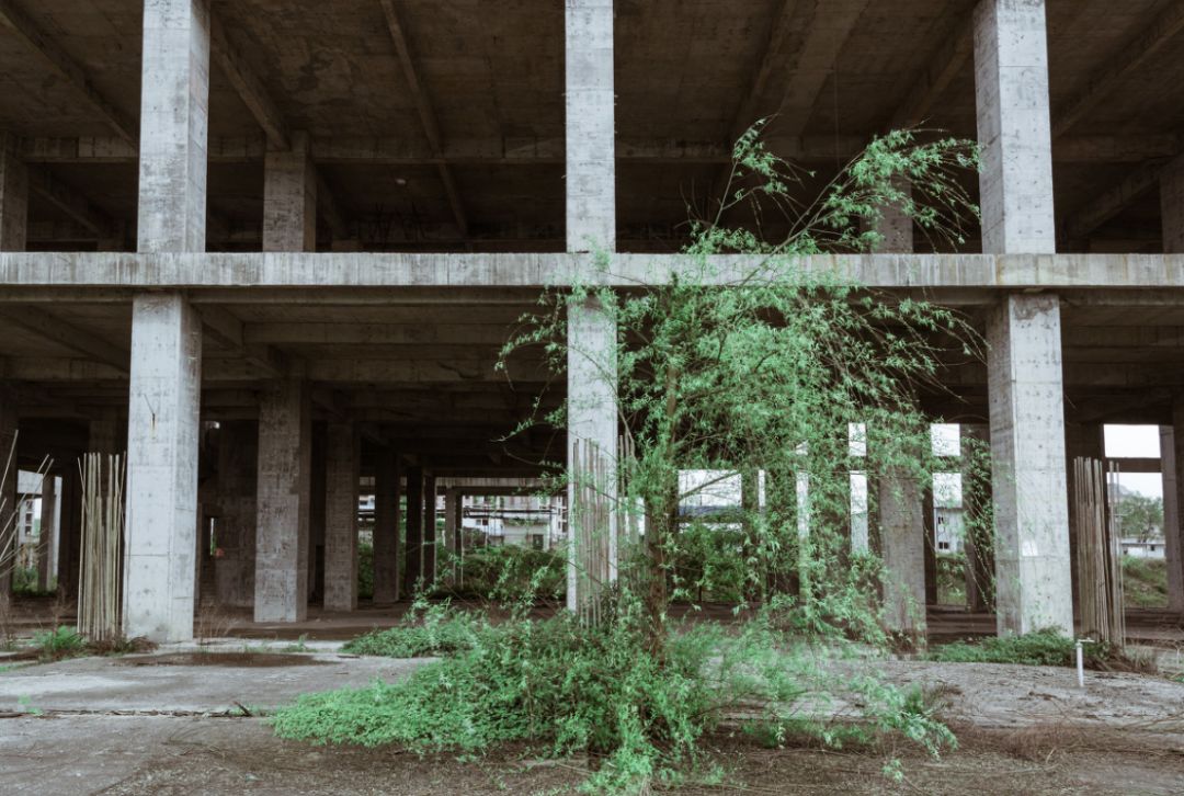 网红最豪华的烂尾楼,杭州网红烂尾楼在哪