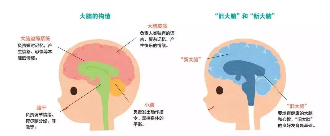 宝宝全脑早教书,早教书0-3岁全脑开发