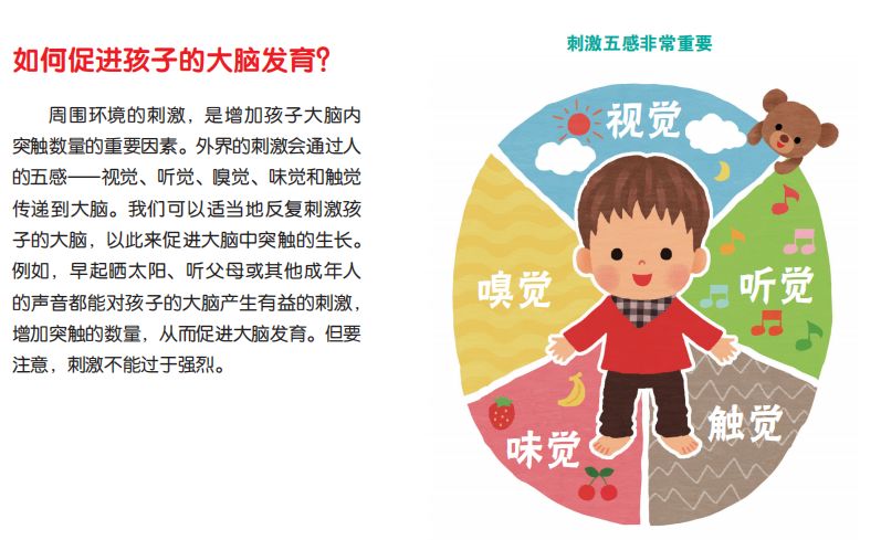 宝宝全脑早教书,早教书0-3岁全脑开发