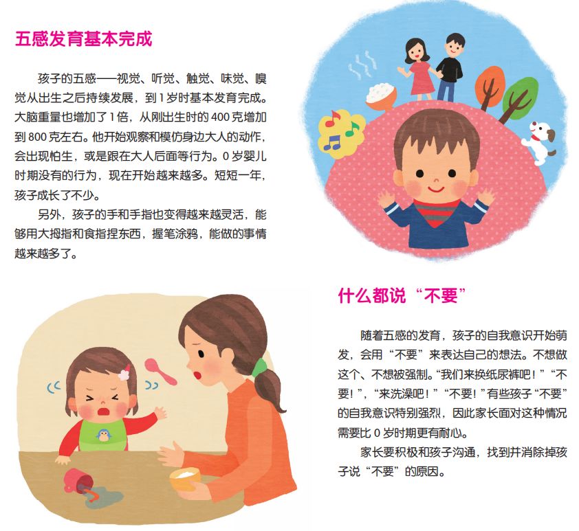 宝宝全脑早教书,早教书0-3岁全脑开发