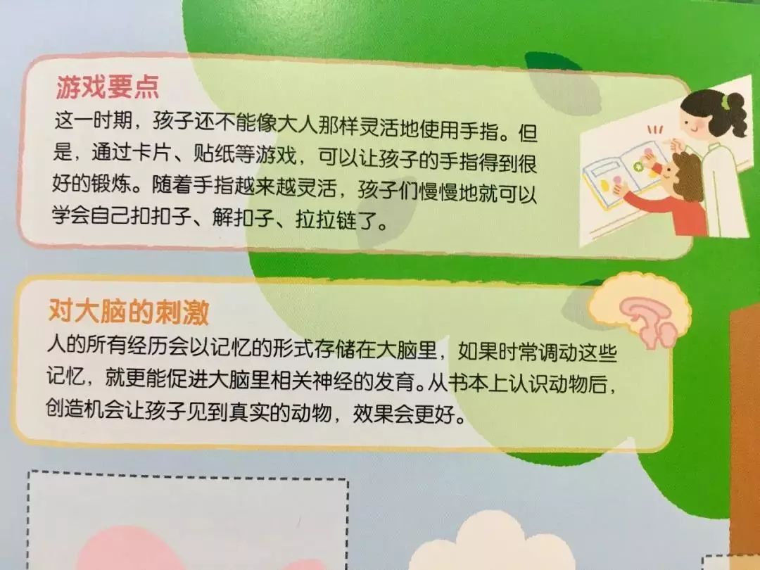 宝宝全脑早教书,早教书0-3岁全脑开发