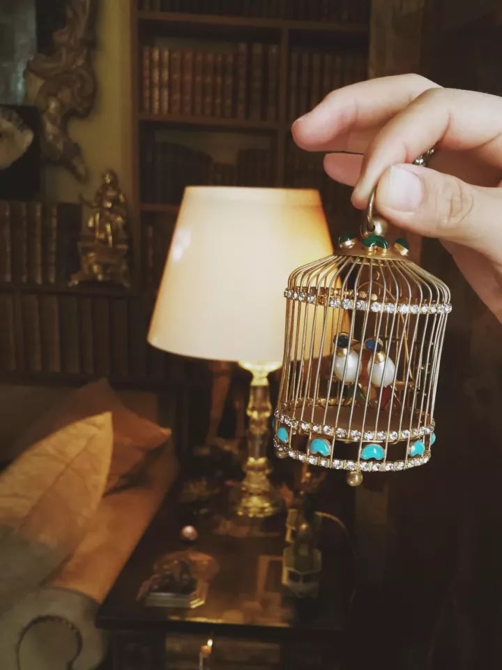 寻找香奈儿,用鼻子闻气味找对象