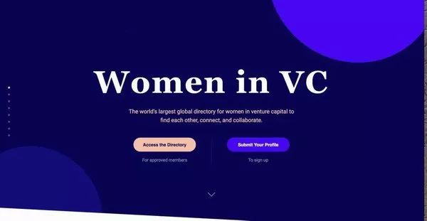 全球女投资人,福布斯中国最佳女性创投人