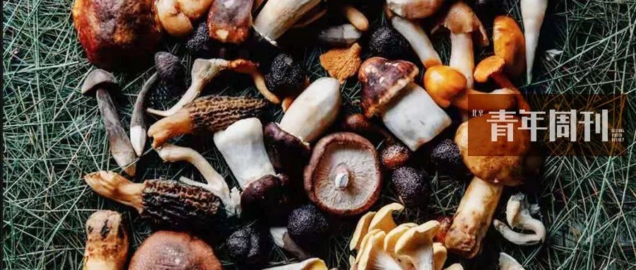 看了一圈中世纪海怪，觉得活在现代真的好好哦！