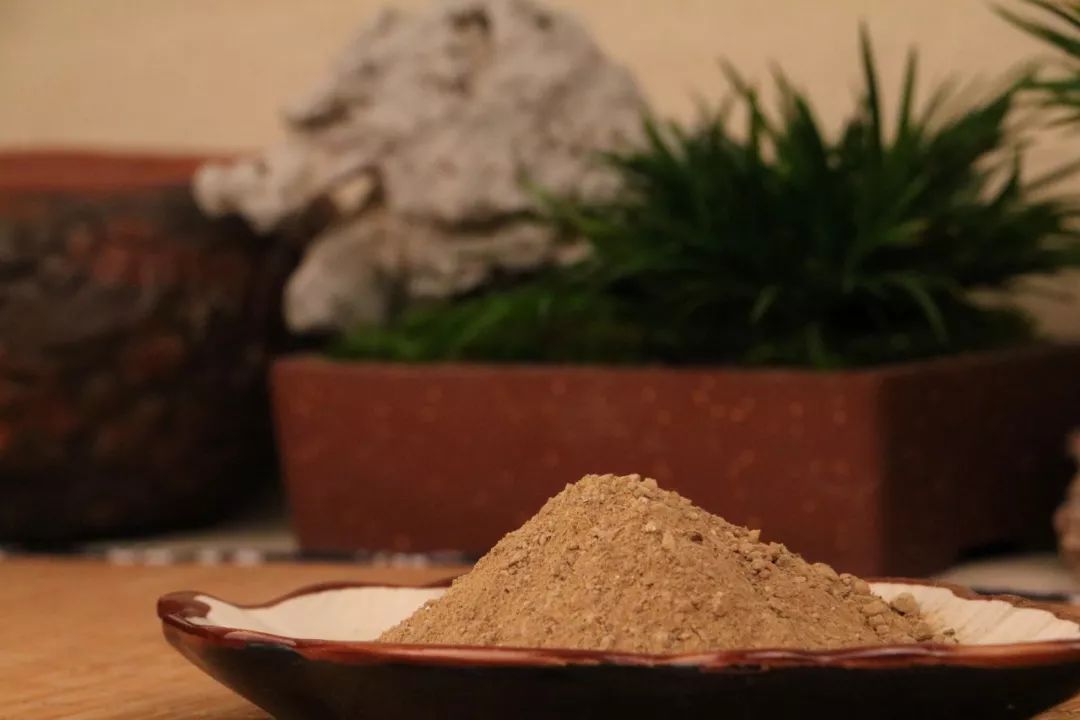 碗莲出现黑叶烂叶怎么办,碗莲种藕僵苗了怎么办