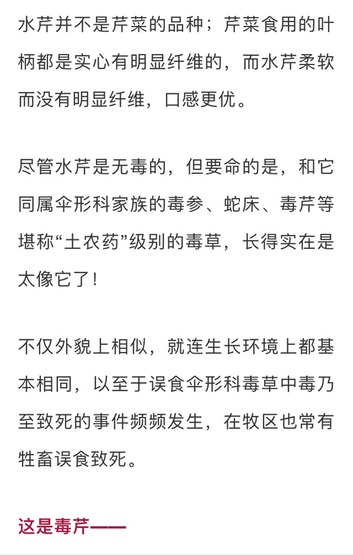 吃了街边买的“青菜”，一家三口急送医！这些菜清明常出没…