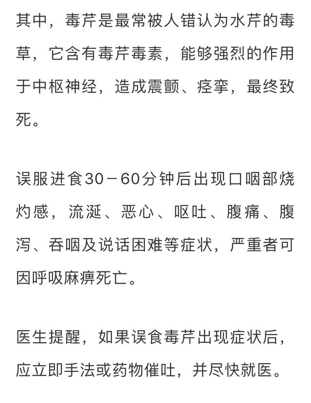 吃了街边买的“青菜”，一家三口急送医！这些菜清明常出没…