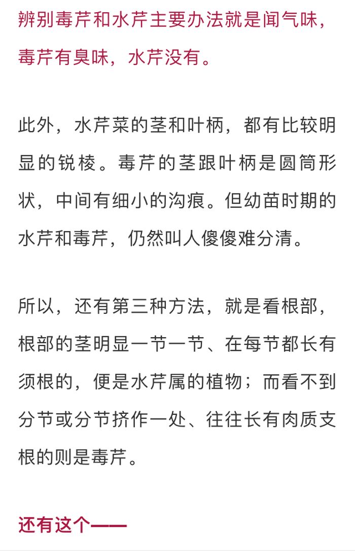 吃了街边买的“青菜”，一家三口急送医！这些菜清明常出没…