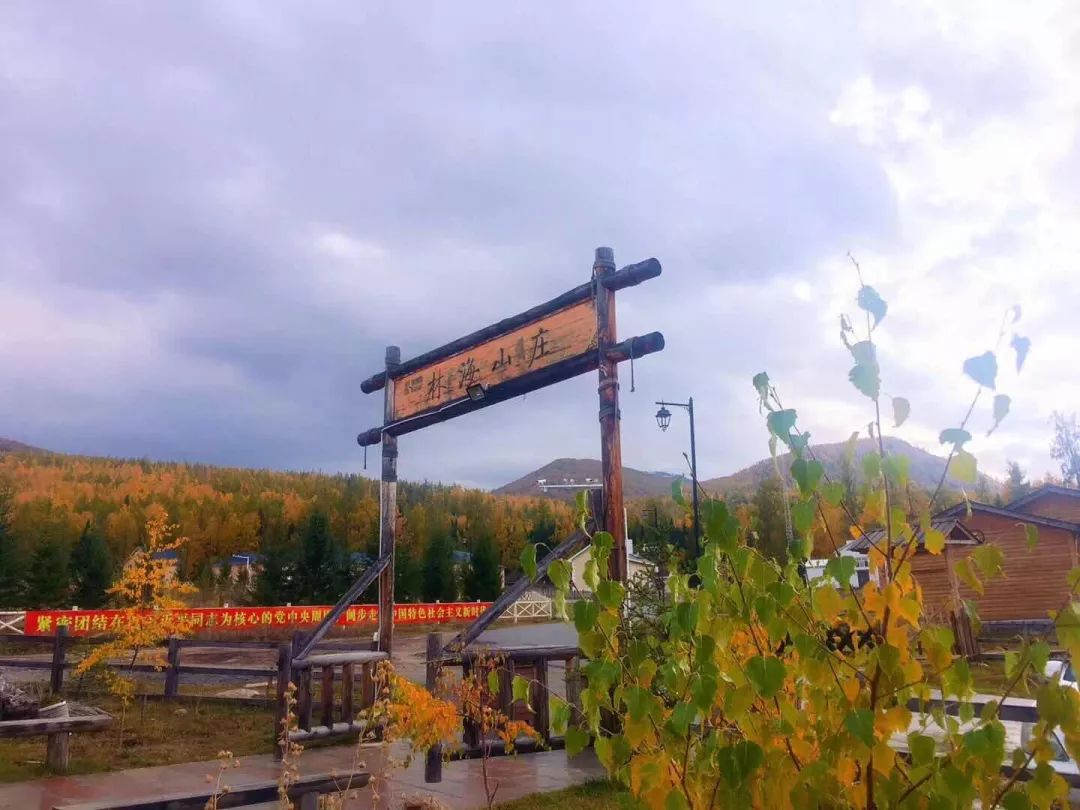 （必看速知）2019年喀纳斯景区·喀旅股份春夏秋最新优惠政策出炉，更深度地喀纳斯秘境极致旅行体验。