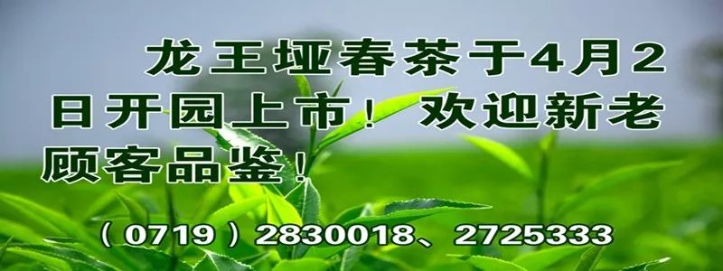 竹溪天猫优品体验店,竹溪天猫优品电器体验店