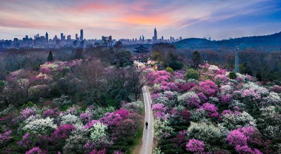 这座让文化人好感度爆棚的城市,你赢了!