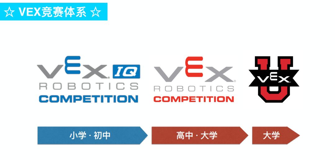 入坑一年花十万,入坑5年